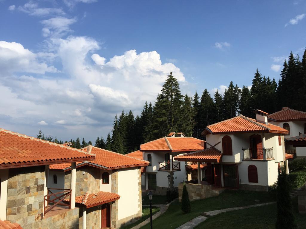 Forest Glade-Апартаменти И Стаи За Гости Pamporovo Camera foto