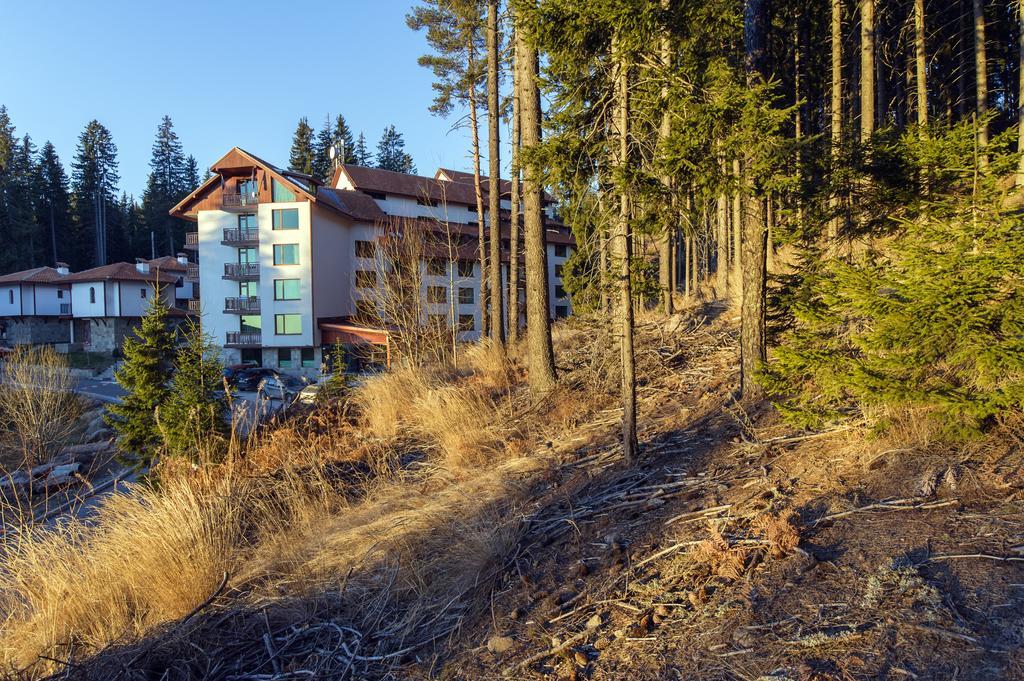 Forest Glade-Апартаменти И Стаи За Гости Pamporovo Esterno foto