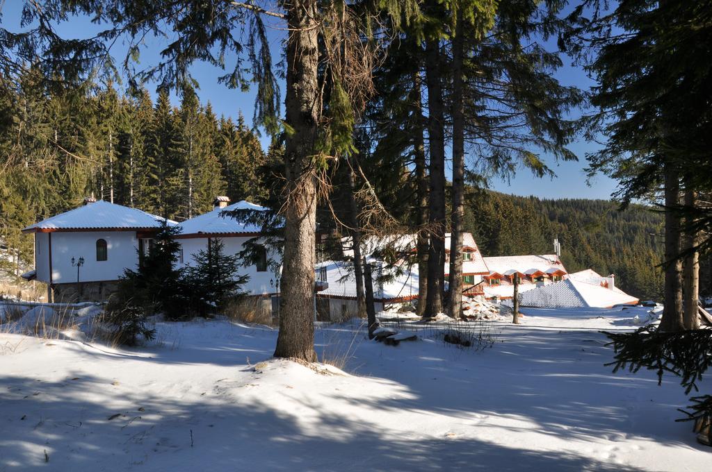 Forest Glade-Апартаменти И Стаи За Гости Pamporovo Esterno foto