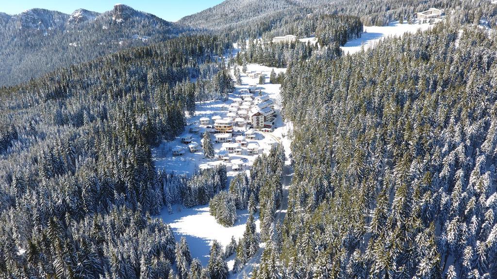 Forest Glade-Апартаменти И Стаи За Гости Pamporovo Esterno foto